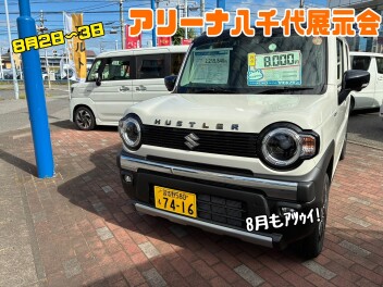 8月真夏の展示会！